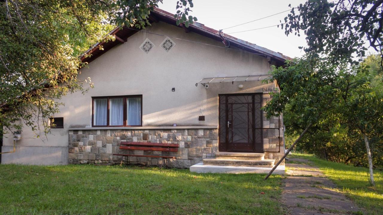Casa Rurala Cu Livada Lavandra Cîmpina Dış mekan fotoğraf