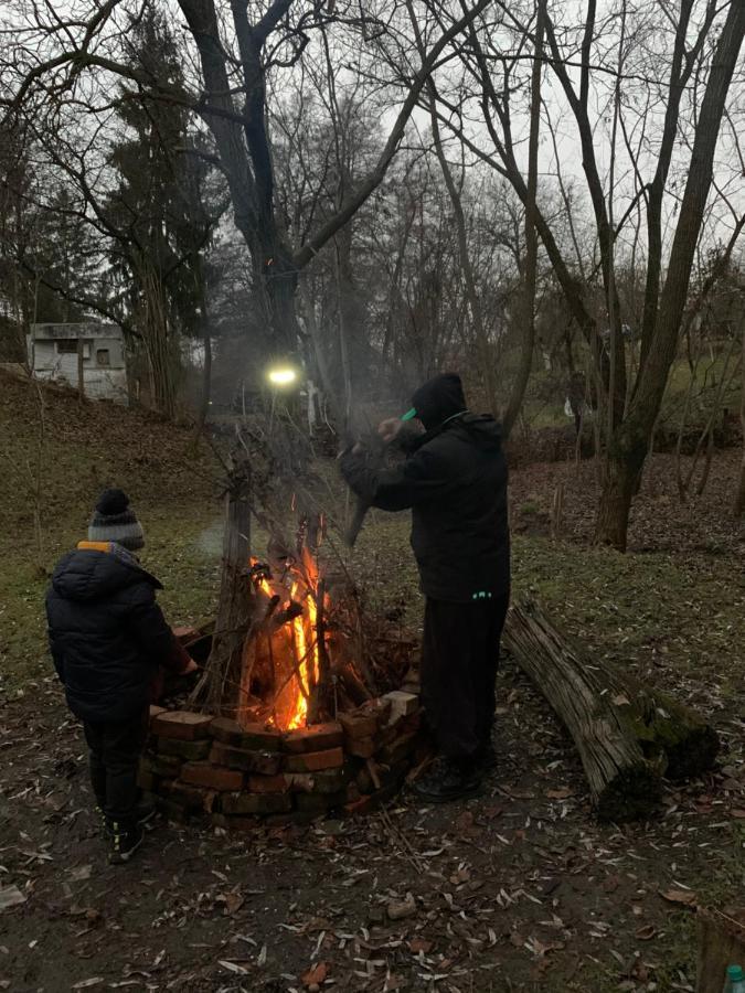 Casa Rurala Cu Livada Lavandra Cîmpina Dış mekan fotoğraf